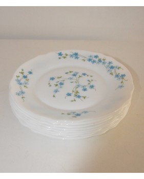Assiettes à Dessert Arcopal Veronica Myosotis Vintage TBE
